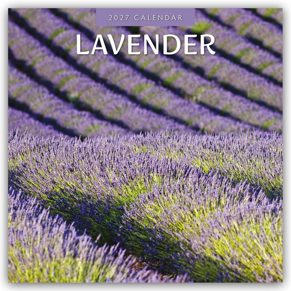 Lavender - Lavendel 2027 - 16-Monatskalender (Red Robin Publishing Ltd)