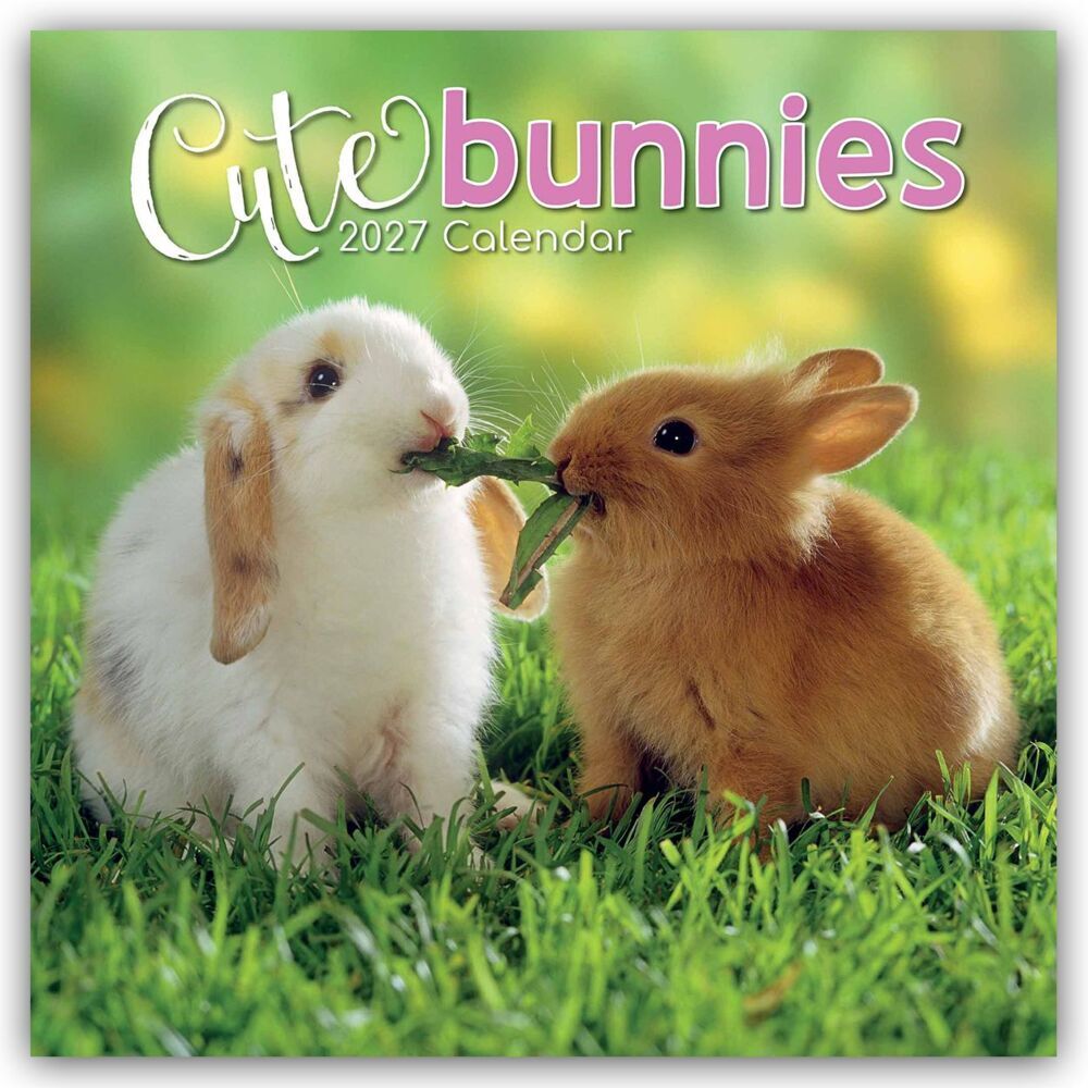 Cute Bunnies - Niedliche Kaninchen 2027 - 16-Monatskalender (Gifted Stationery Co. Ltd)