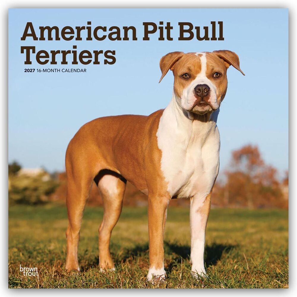 American Pit Bull Terriers 2027 - 16-Monatskalender (Browntrout Publishers Inc)