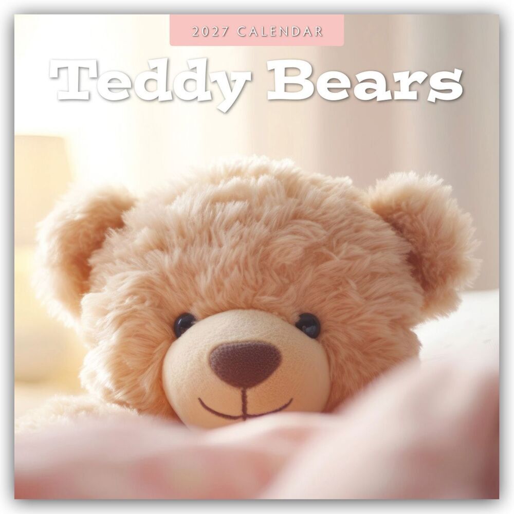 Teddy Bears - Teddybären 2027 - 16-Monatskalender (Red Robin Publishing Ltd)