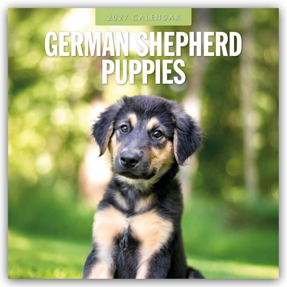 German Shepherd Puppies - Deutsche Schäferhunde Welpen 2027 - 16-Monatskalender (Red Robin Publishing Ltd)