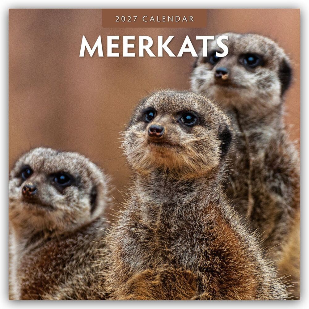 Meerkats - Erdmännchen 2027 - 16-Monatskalender (Red Robin Publishing Ltd)