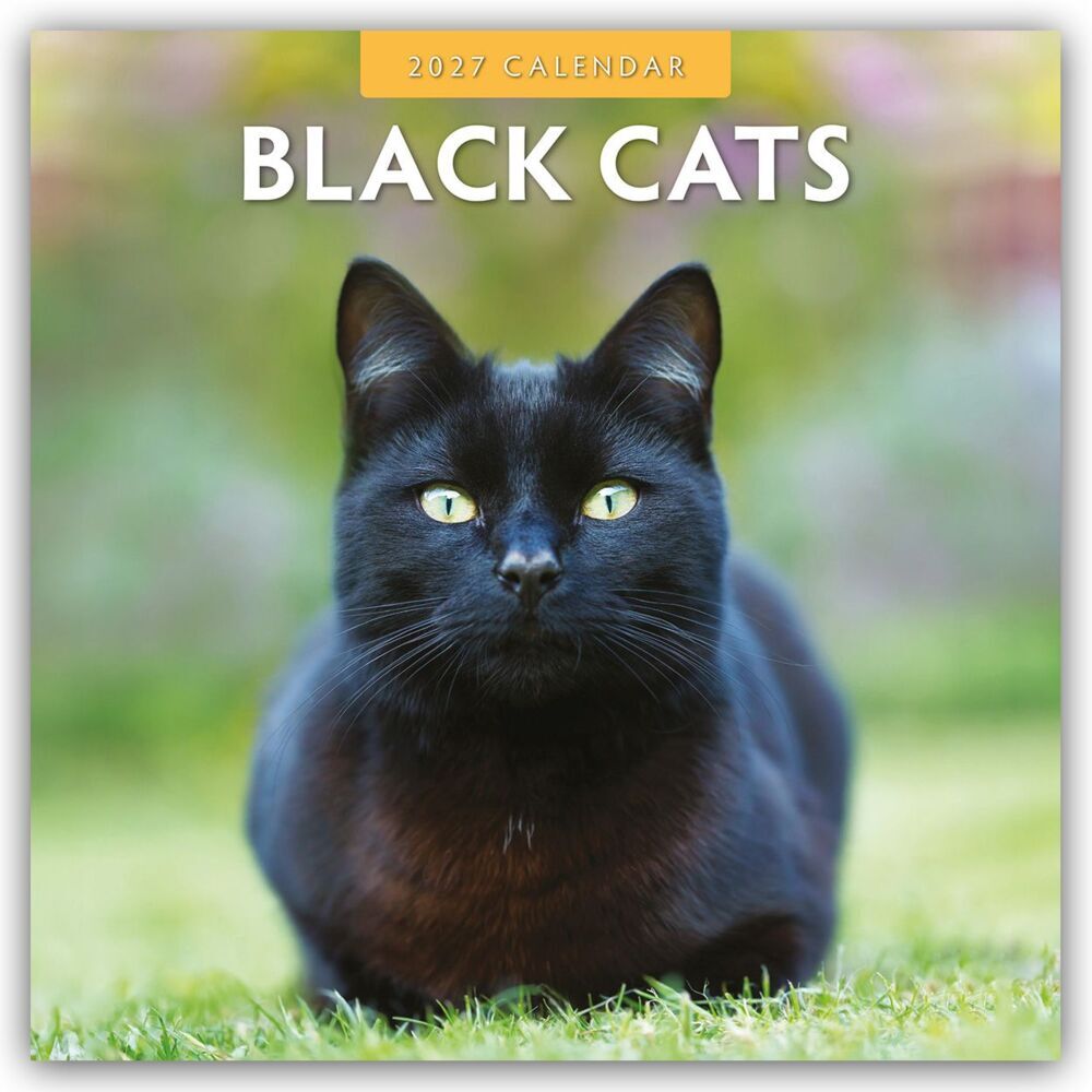 Black Cats - Schwarze Katzen 2027 - 16-Monatskalender (Red Robin Publishing Ltd)