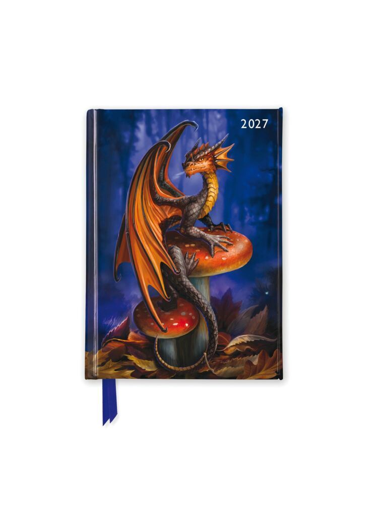 Anne Stokes - Taschenkalender 2027 (Flame Tree Publishing)