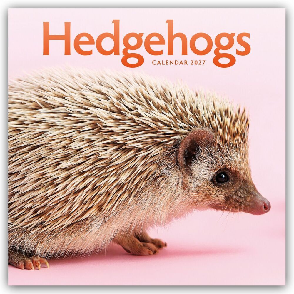 Hedgehogs - Igel 2027 - Wand-Kalender (Carousel Calendar)