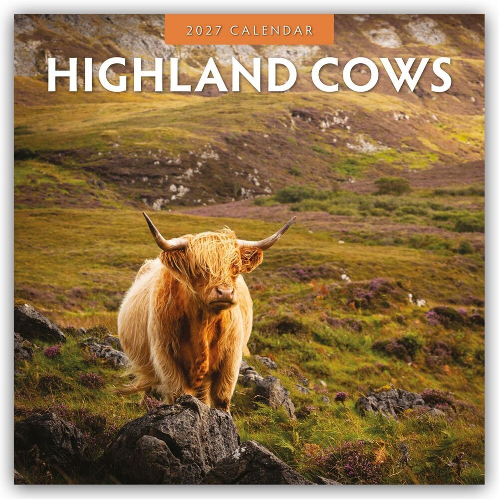 Highland Cows - Hochland Kühe 2027 - 16-Monatskalender (Red Robin Publishing Ltd)