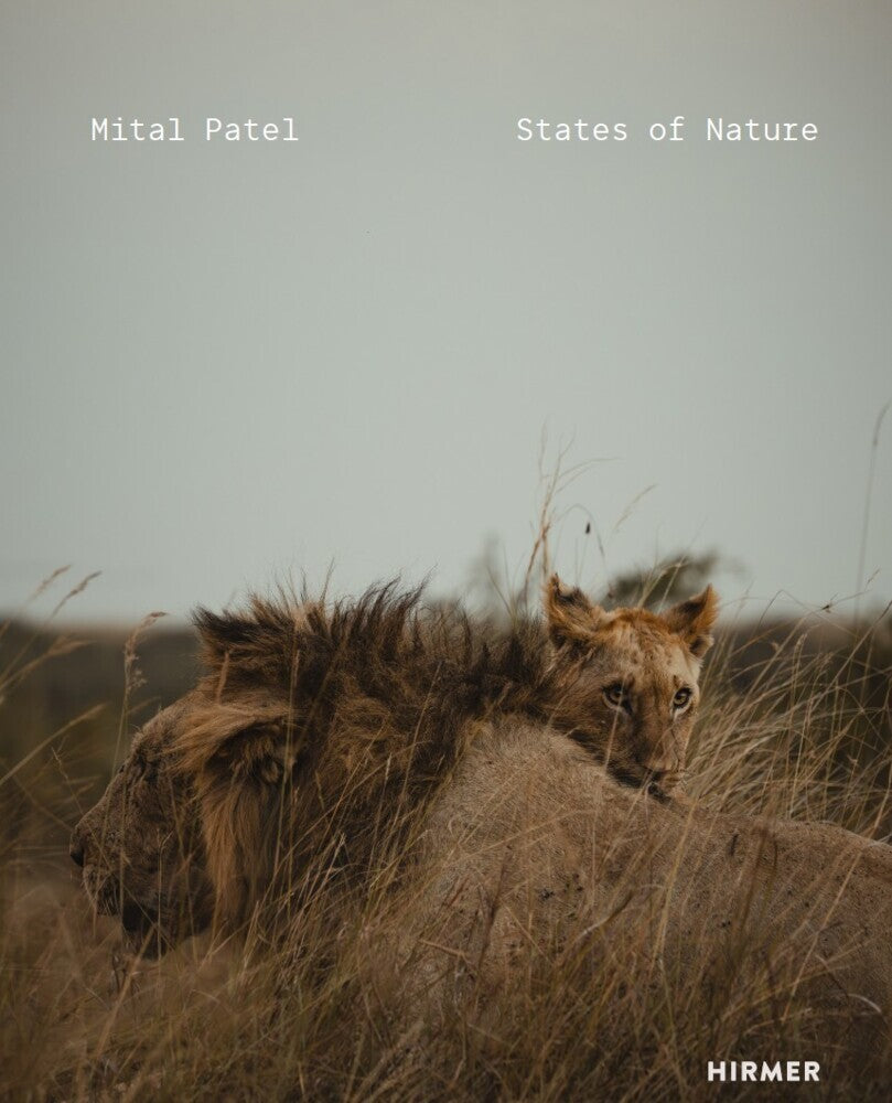 Mital Patel - States of Nature (Nadine Barth)
