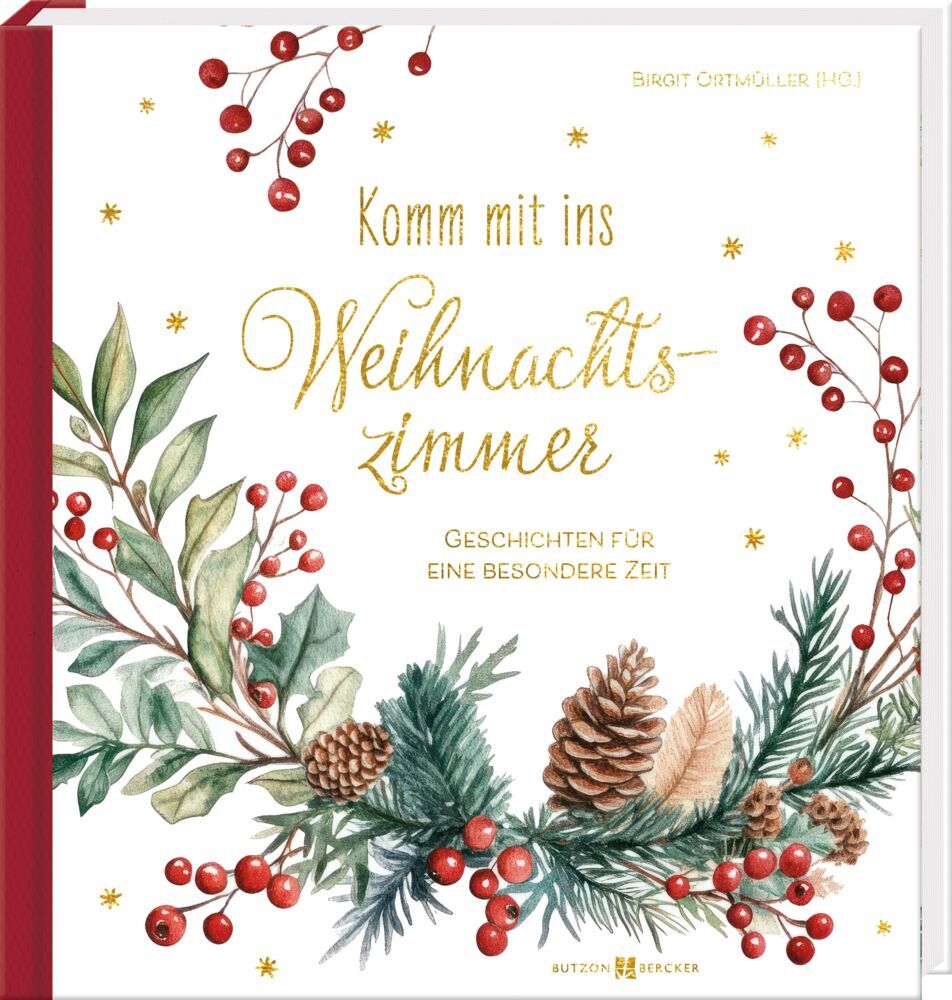 Komm mit ins Weihnachtszimmer (Birgit Ortmüller)