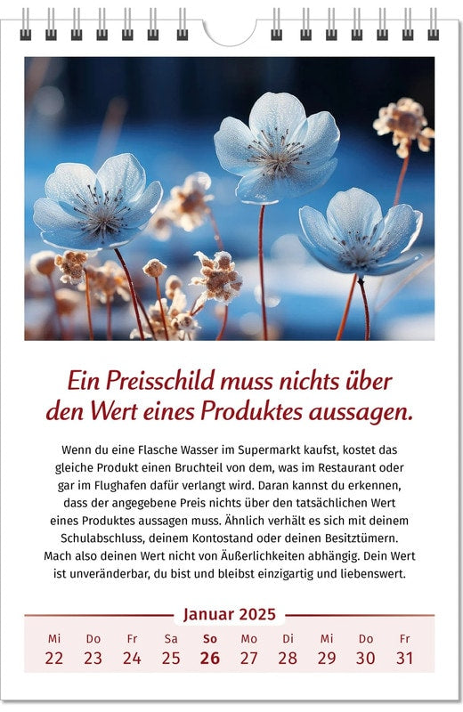 Der Lebensfreude-Kalender 2025