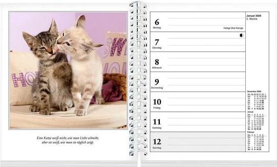 Schmusekatzen Fotokalender 2025