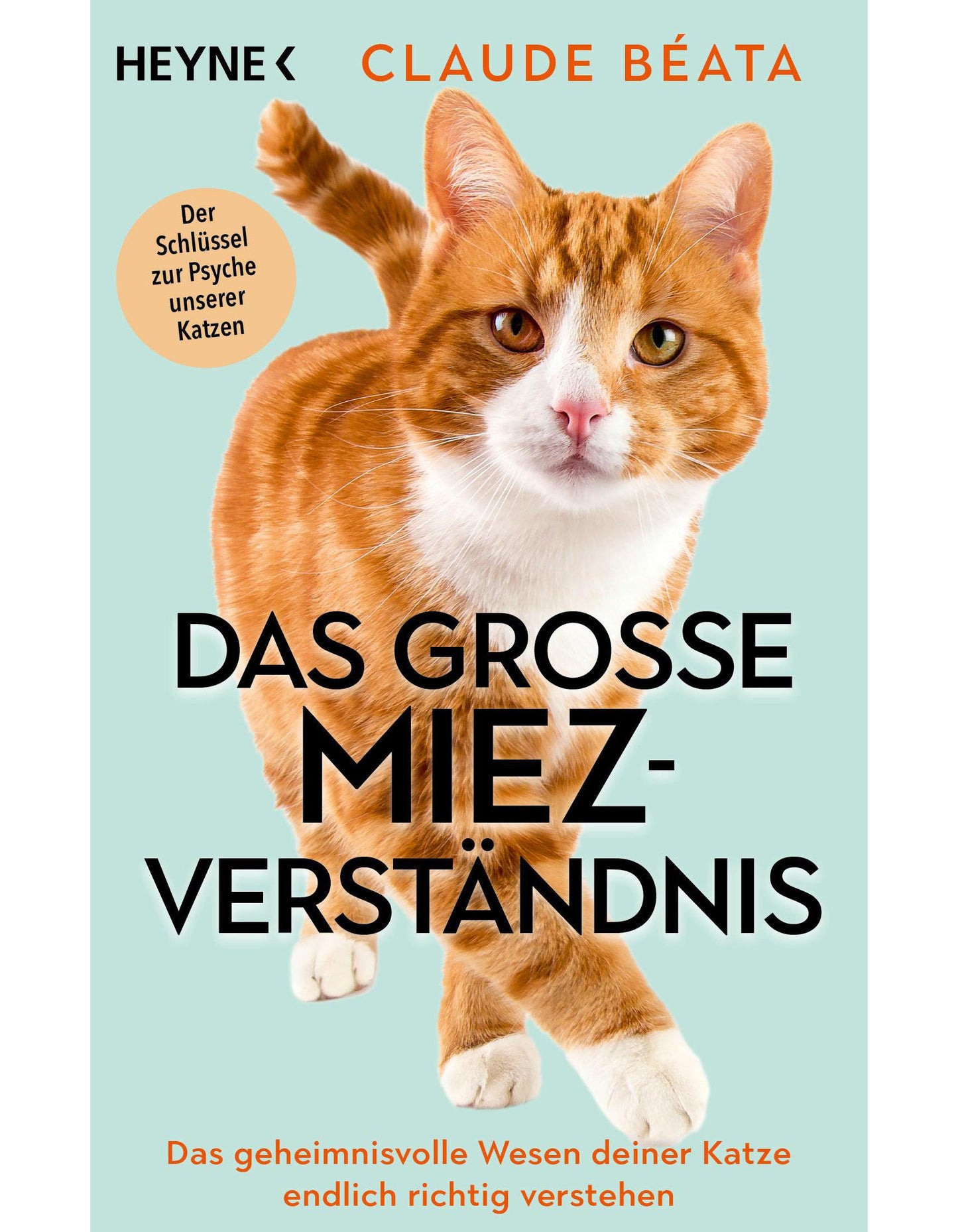 Das grosse Miez-Verständnis