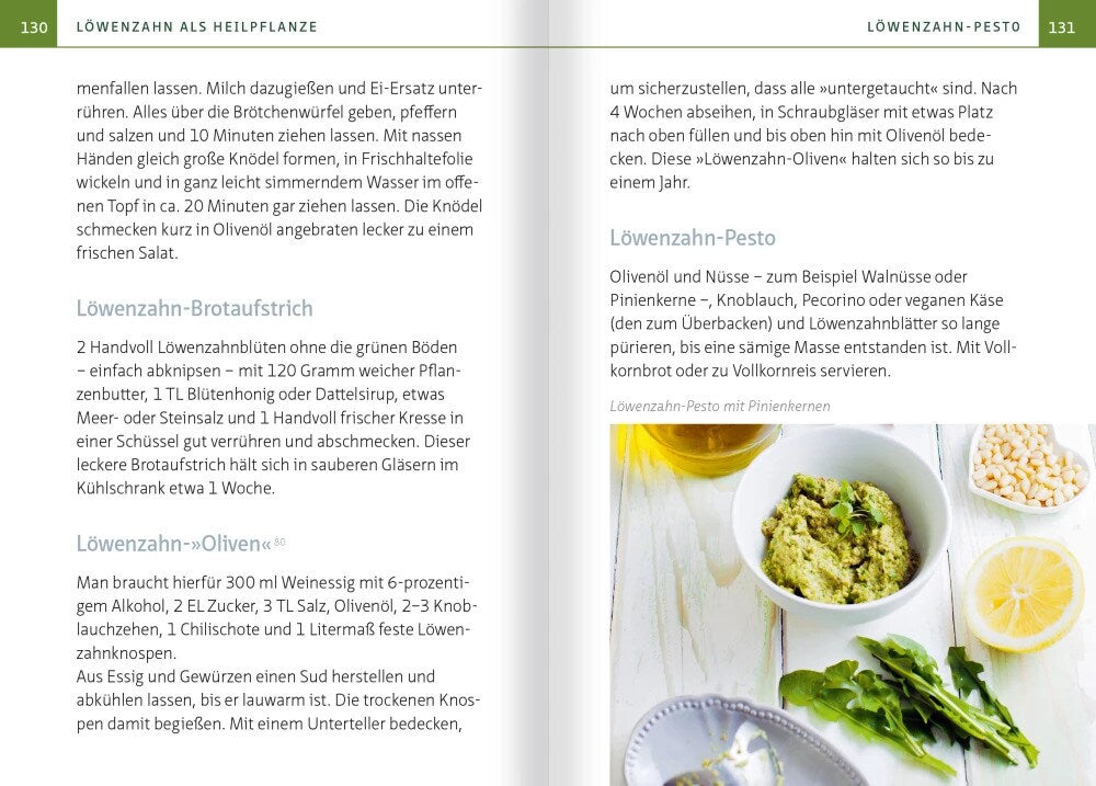 Löwenzahn - Wunderkraut für Resilienz und Lebenskraft. Kompakt-Ratgeber