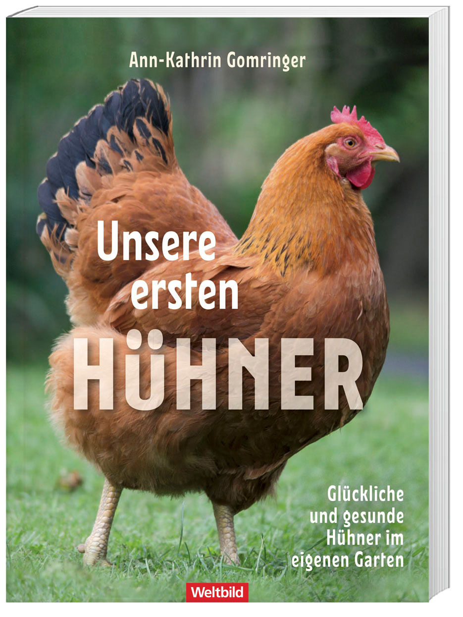 Unsere ersten Hühner