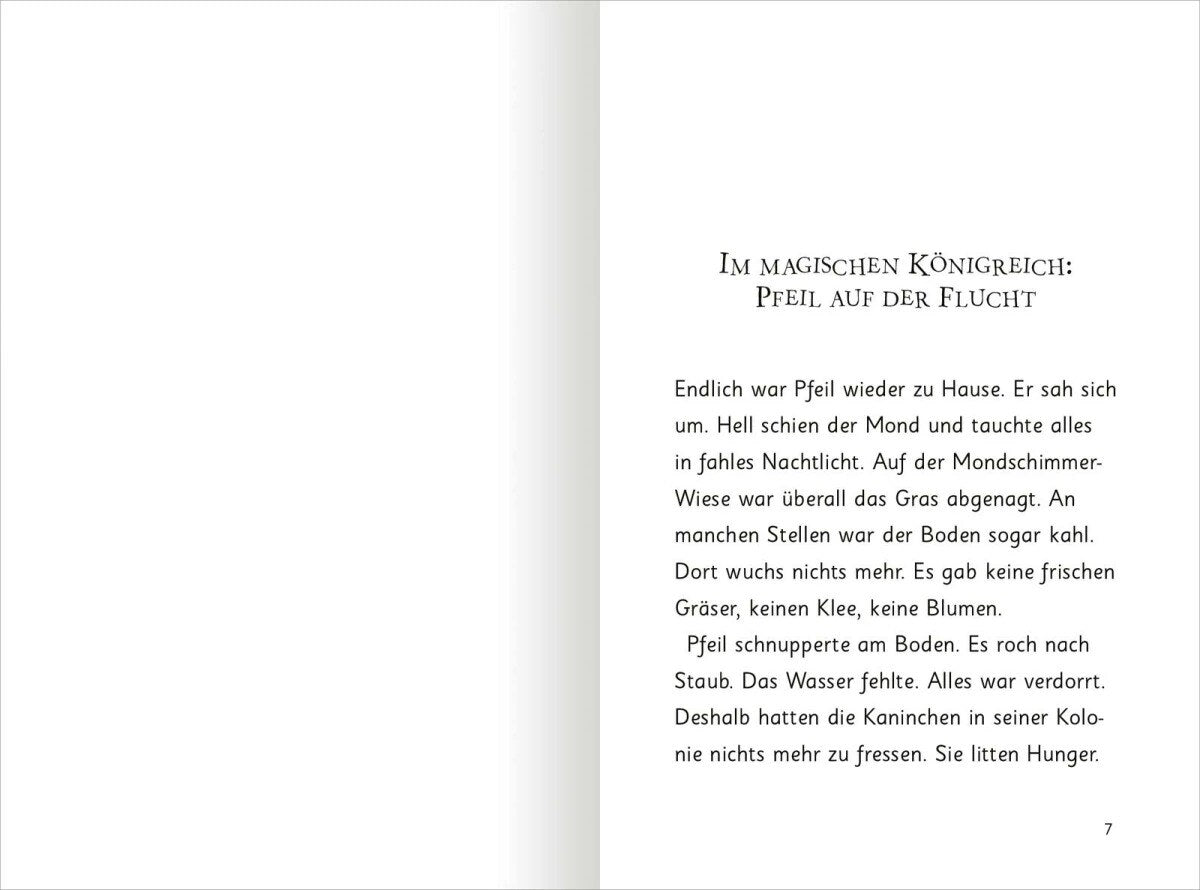 Magische Häschen - Knuffiges Chaos