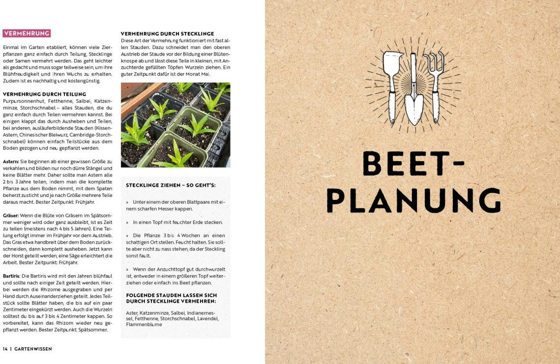 Gartenmomente: Blumen im Garten