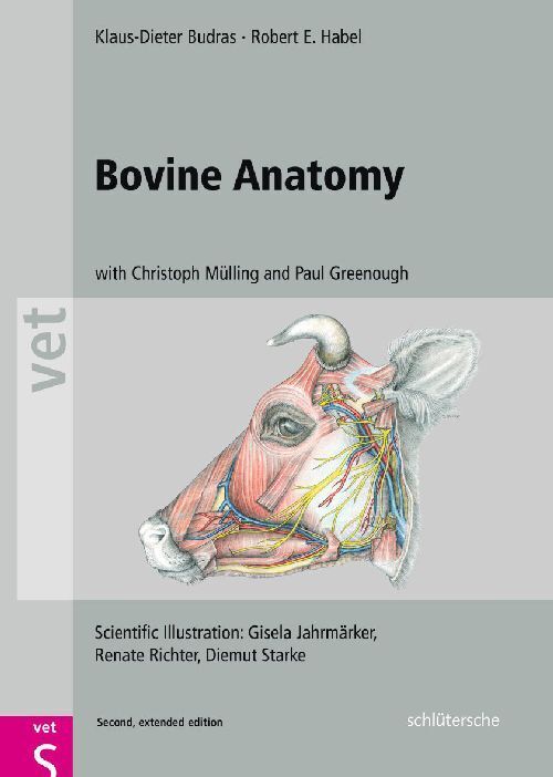 Bovine Anatomy (Klaus-Dieter Budras)