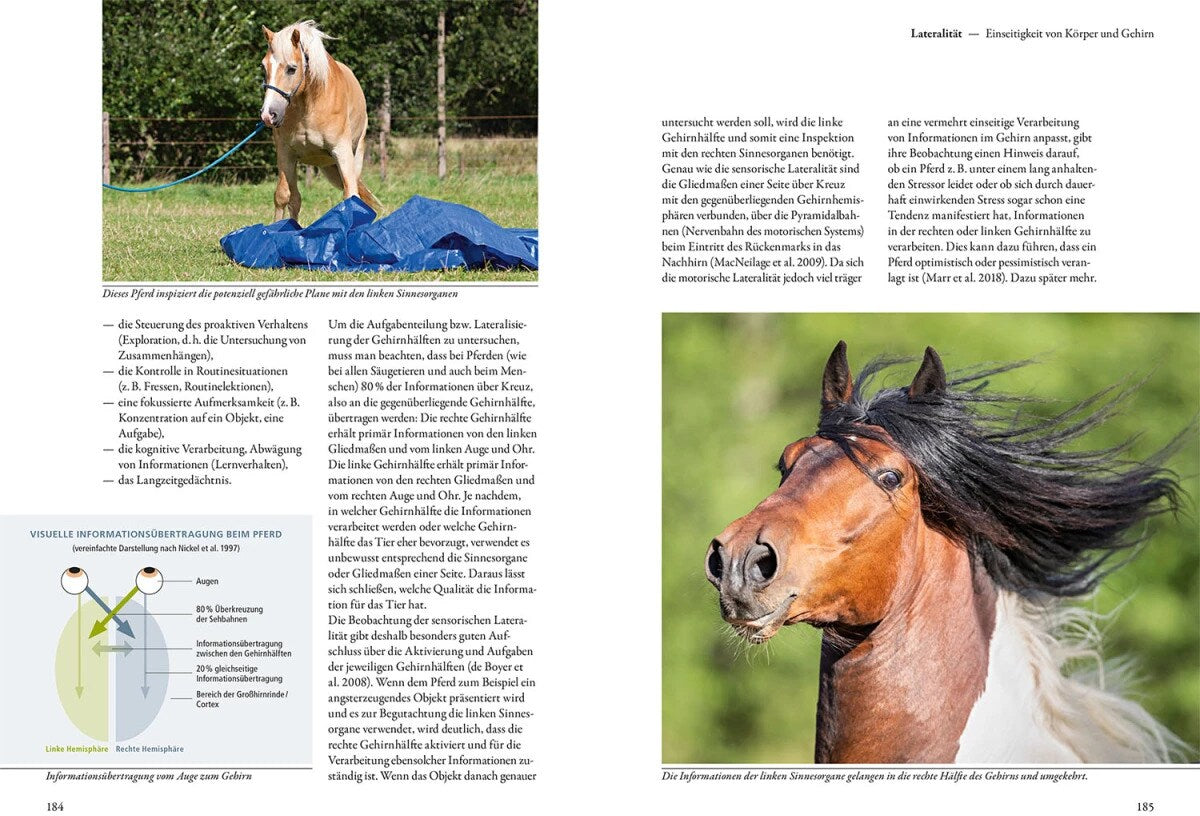 Kosmos Forschung trifft Pferd (Deutsch, 2022, Konstanze Krüger, Isabell Marr)