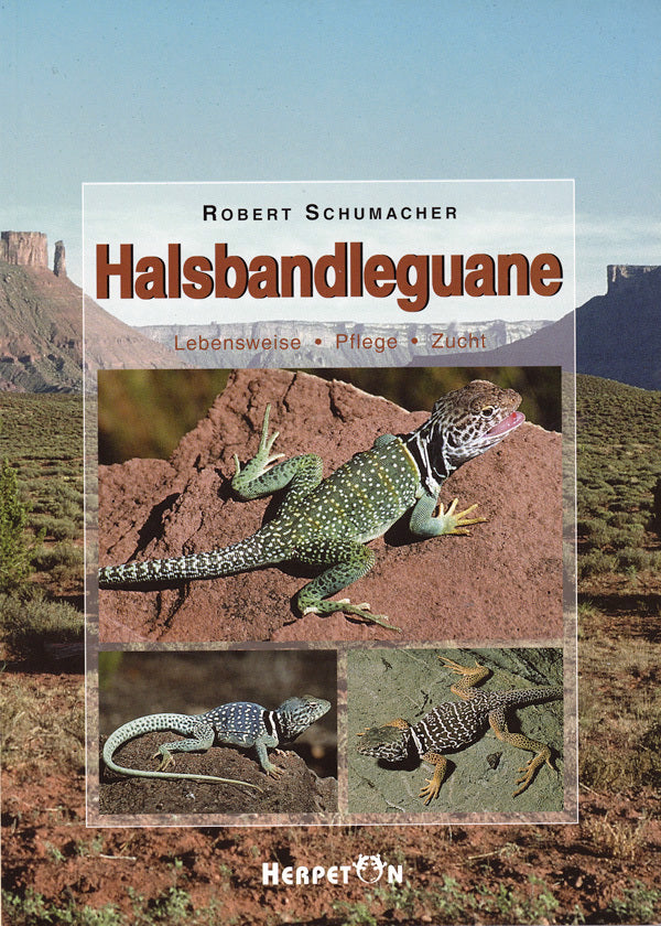 Halsbandleguane (Robert Schumacher)
