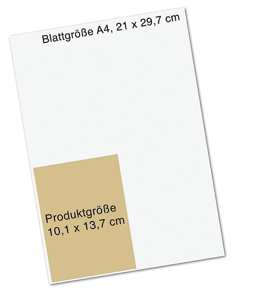 Droemer Knaur Das Orakel der Krafttiere (Deutsch, 2019, Colette Baron-Reid)