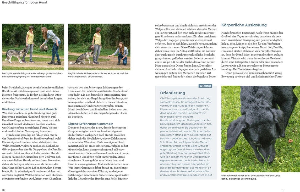 Kosmos Hunde beschäftigen mit Martin Rütter (Deutsch, 2022, Martin Rütter, Andrea Buisman)