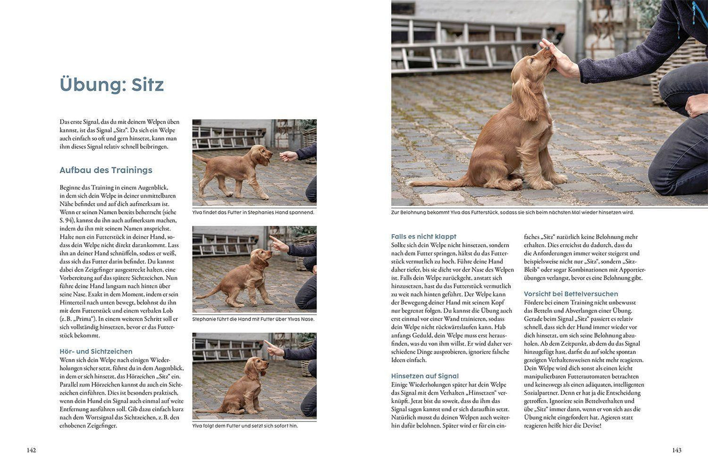 Kosmos Welpentraining mit Martin Rütter (Deutsch, 2022, Martin Rütter)