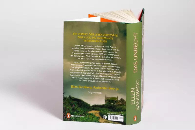 Penguin Hardcover Das Unrecht (Deutsch, 2022, Ellen Sandberg)