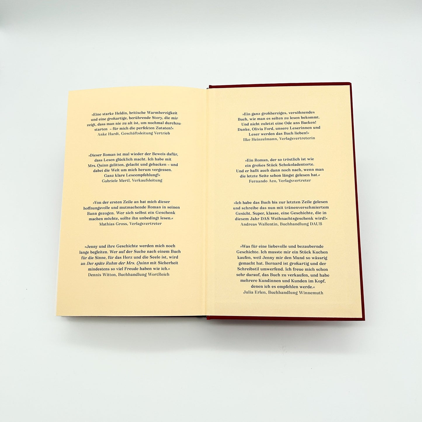 DTV Der späte Ruhm der Mrs. Quinn (Deutsch, 2023, Olivia Ford)