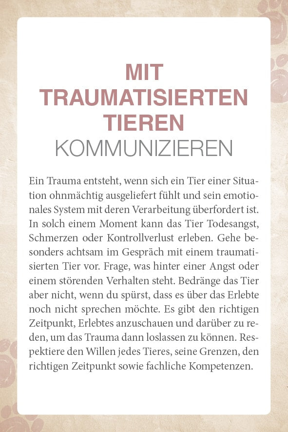 Schirner Mit Tieren kommunizieren (Deutsch, 2022, Abbas Schirmohammadi, Christiane Krieg)