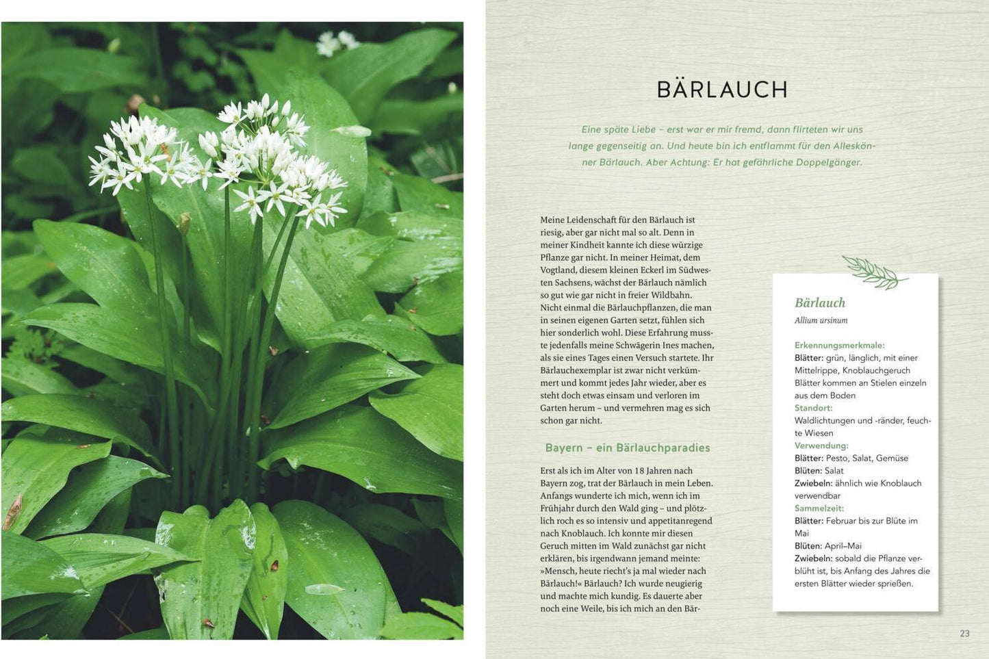 GU Die Wunderwelt der Kräuter (Deutsch, 2024, Stefanie Hertel)