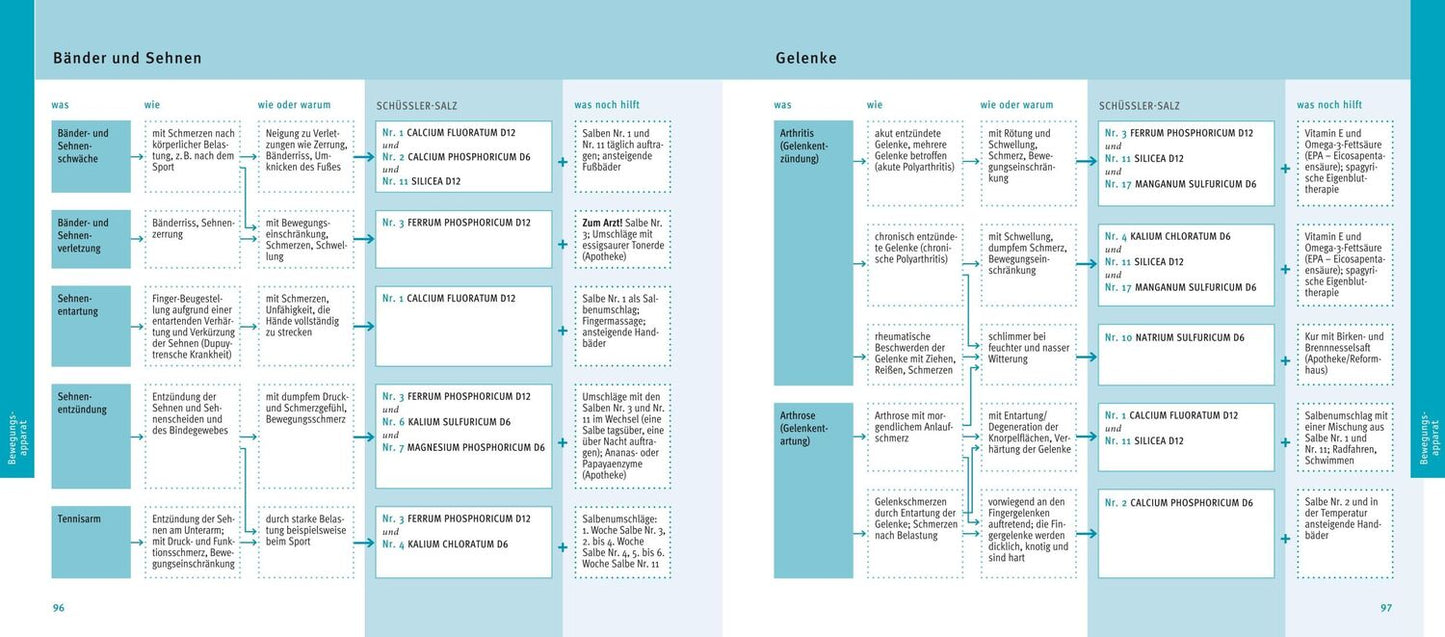 GU Schüßler-Salze, Quickfinder (Deutsch, 2018, Günther H. Heepen)