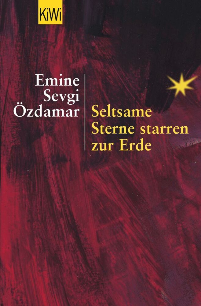 Seltsame Sterne starren zur Erde (Emine Sevgi Özdamar)