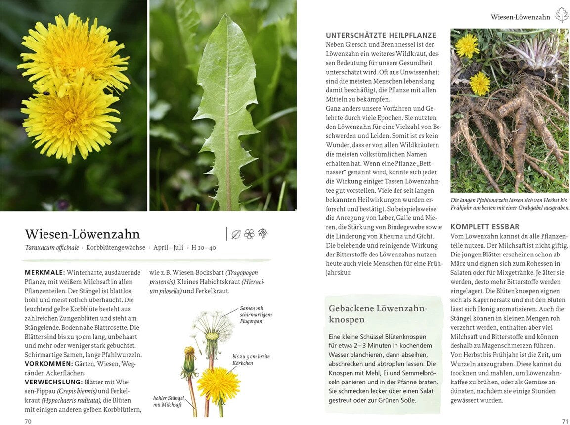 Kosmos Unsere Essbare Natur (Deutsch, 2023, Otmar Diez)