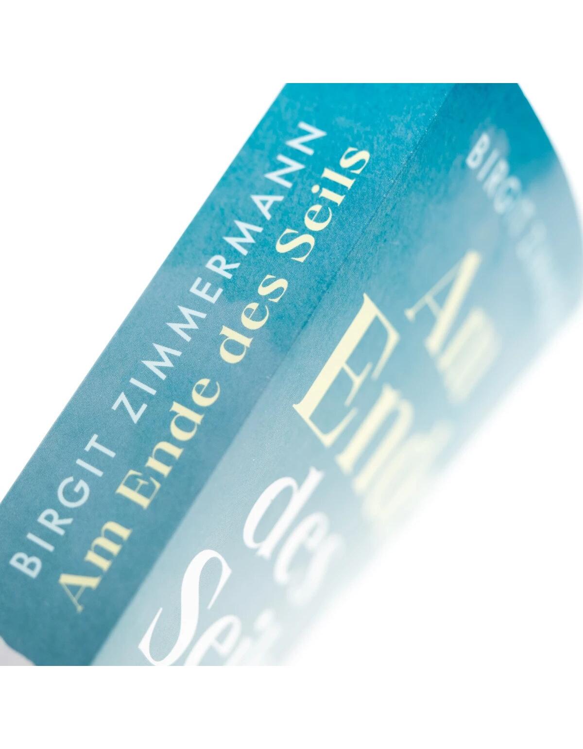 HarperCollins Am Ende des Seils (Deutsch, 2023, Birgit Zimmermann)