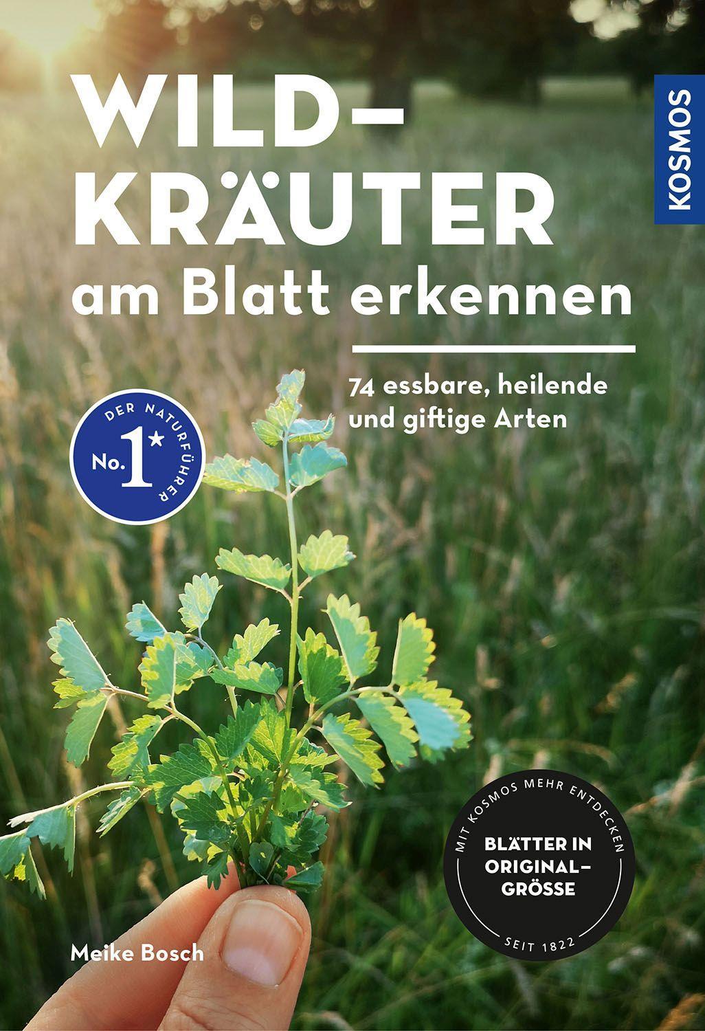Kosmos Wildkräuter am Blatt erkennen (Deutsch, 2023, Meike Bosch)