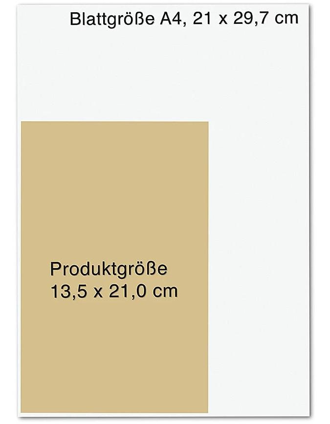 Droemer Knaur Der Traum der Lady Flower (Deutsch, 2024, Kristin MacIver)