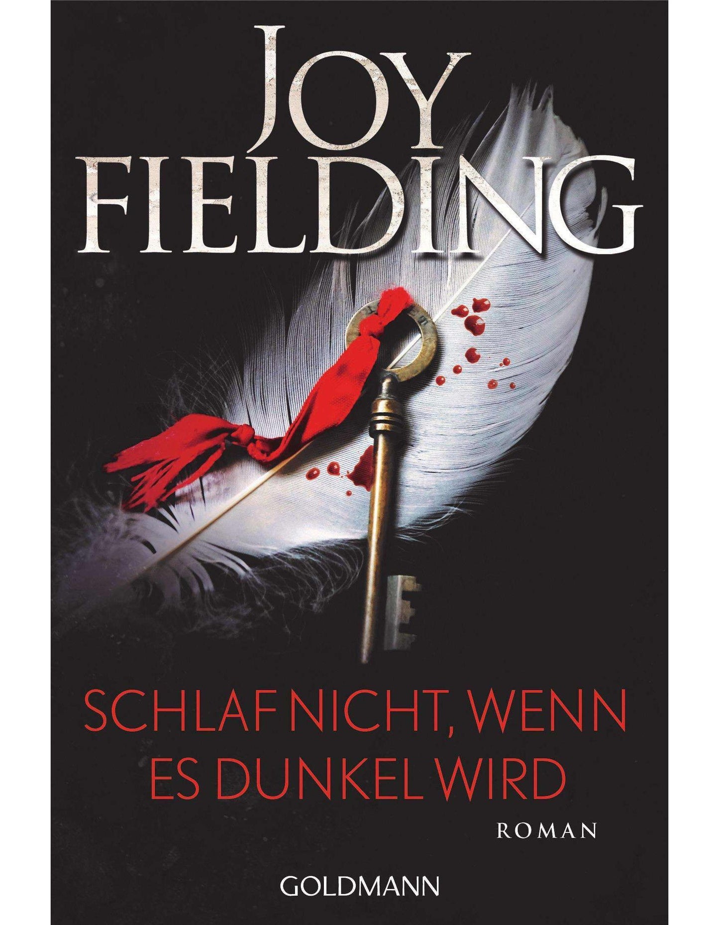 Goldmann Schlaf nicht, wenn es dunkel wird (Deutsch, 2024, Joy Fielding, Kristian Lutze)