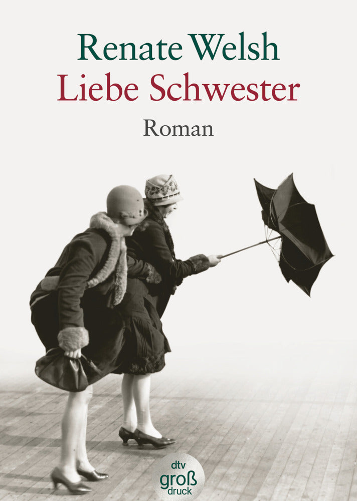 Liebe Schwester, Großdruck (Renate Welsh)