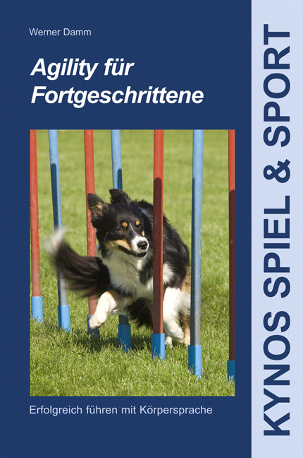 Agility für Fortgeschrittene (Werner Damm)
