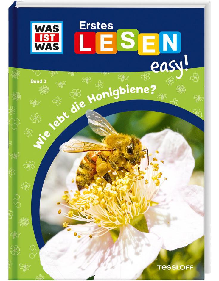 Tessloff WAS IST WAS Erstes Lesen easy! Band 3. Wie lebt die Honigbiene? (Deutsch, 2021, Sonja Meierjürgen, Annelie Stenzel)