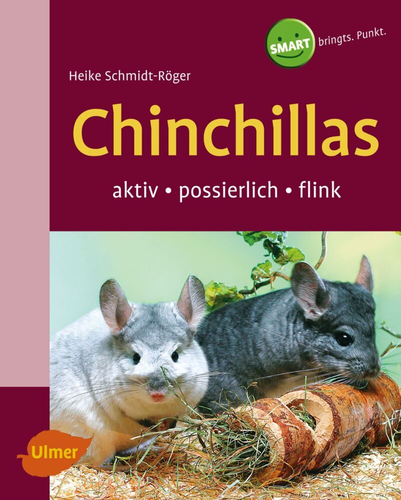 Chinchillas (Heike Schmidt-Röger)