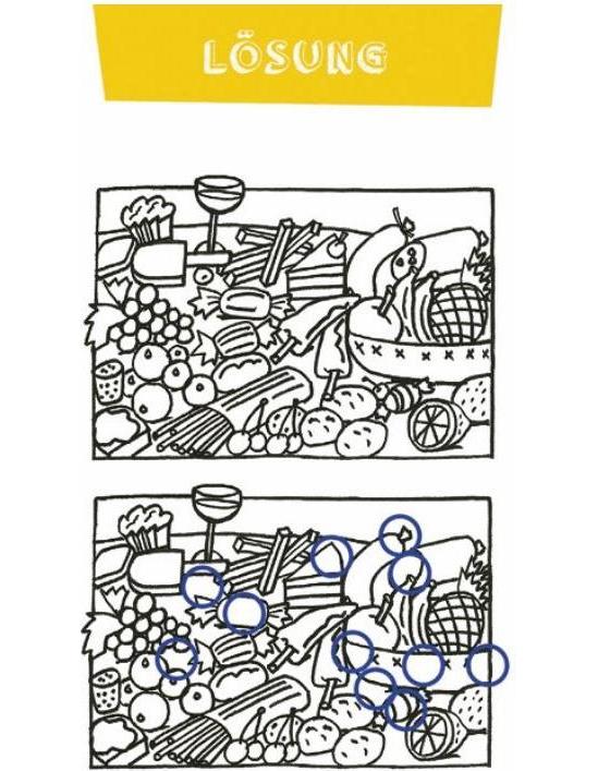 Moses Quiz-Box Gehirnjogging