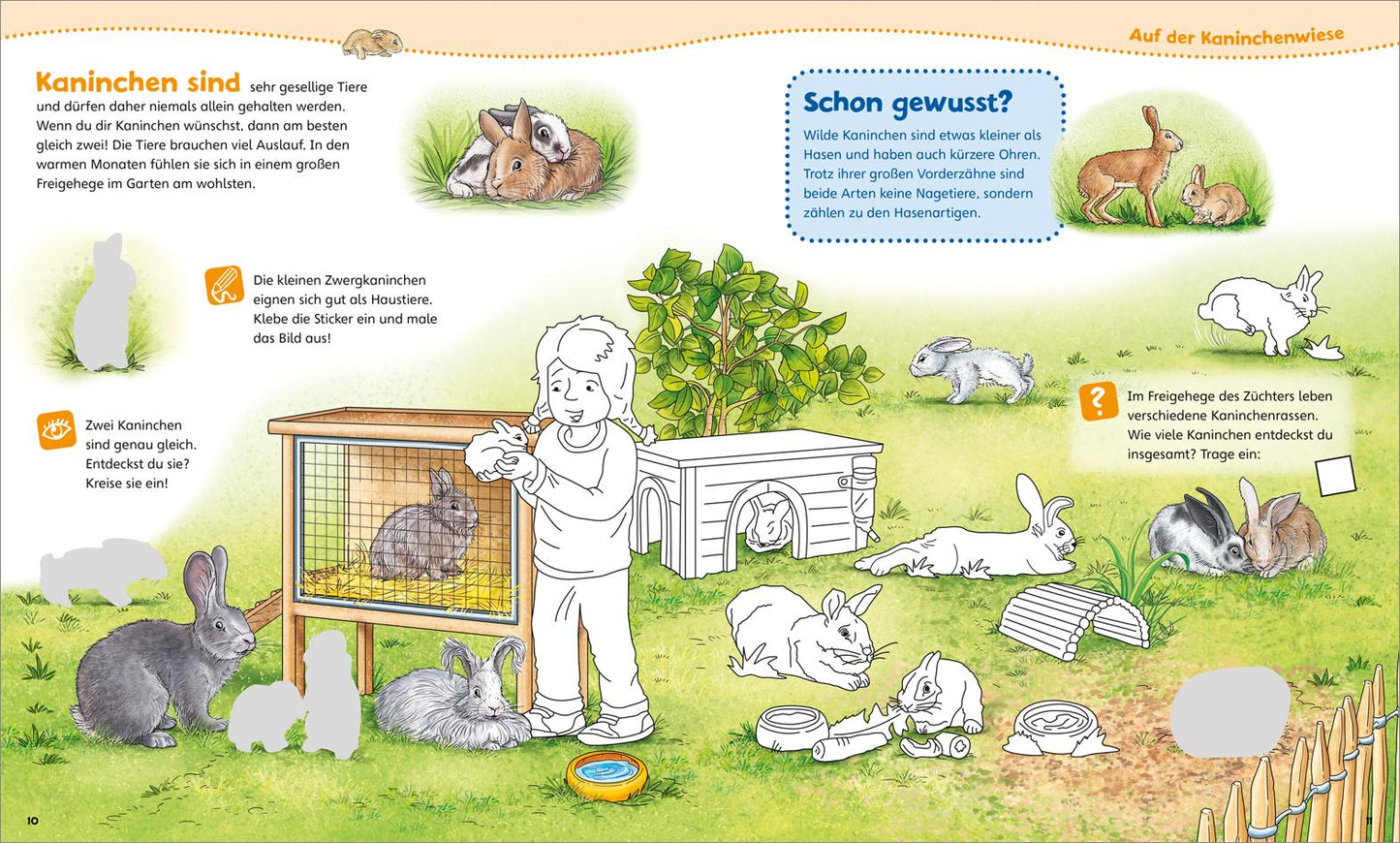 Tessloff WIW Mitmachheft - Liebsten Haustiere (Deutsch, 2021, Stefan Lohr, Tatjana Marti)