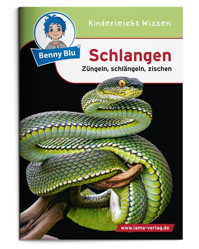 Schlangen