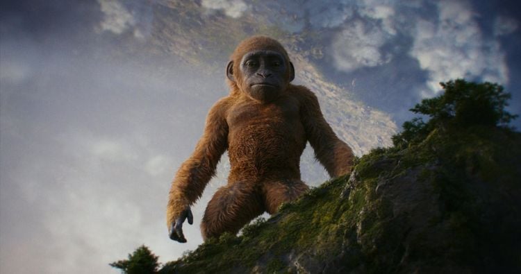 Godzilla X Kong: The New Empire DVD