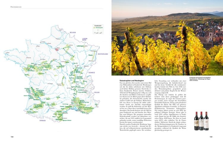 Wein - Die große Schule