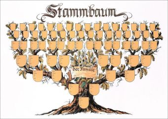 Schmuckbild "Stammbaum"