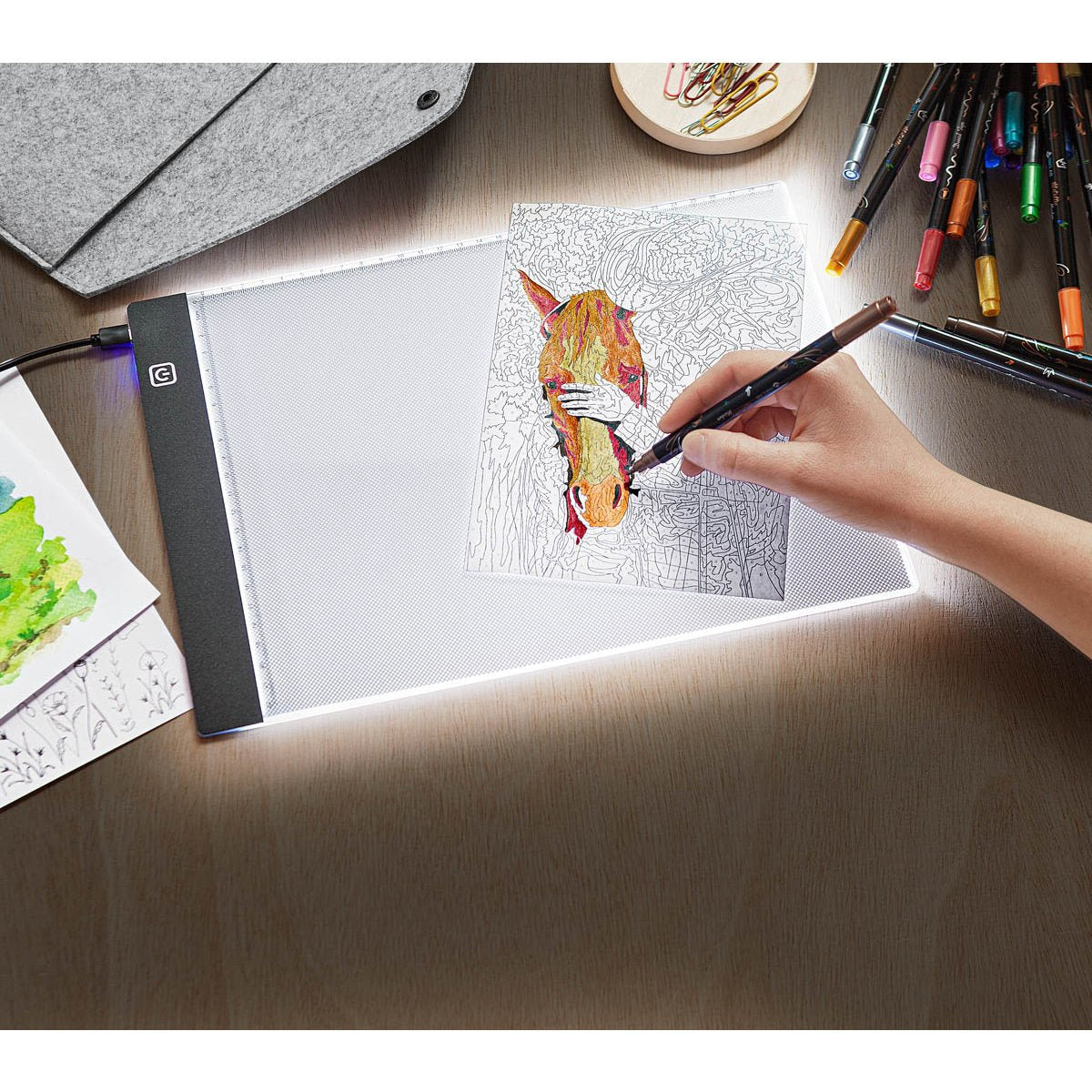 LED-Leuchtplatte A4 mit Tasche