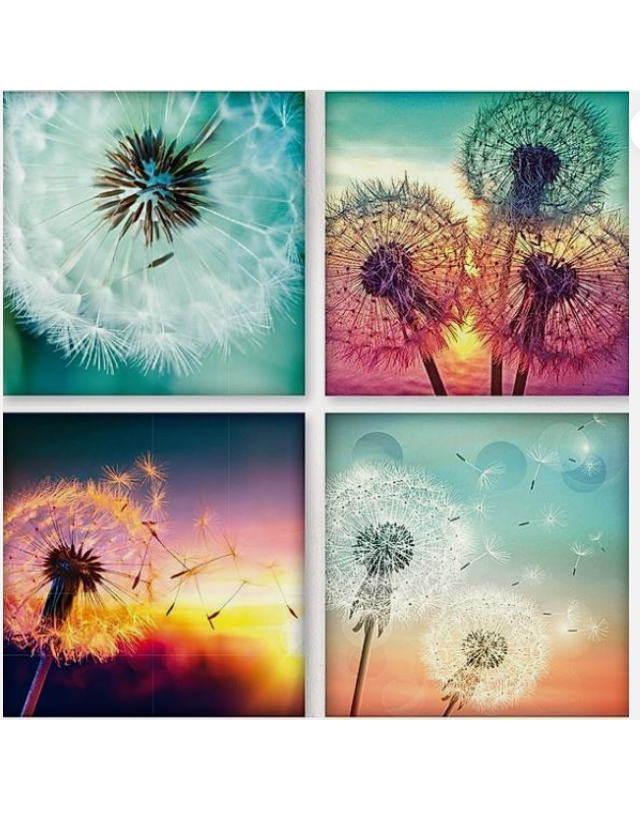 Diamond Painting "Pusteblumen"je 25 x 25 cm, 4er-Set