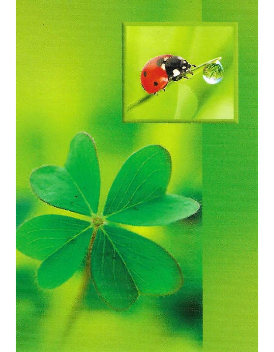 Glückwuschkarte "Glückskäfer mit Kleeblatt" A7