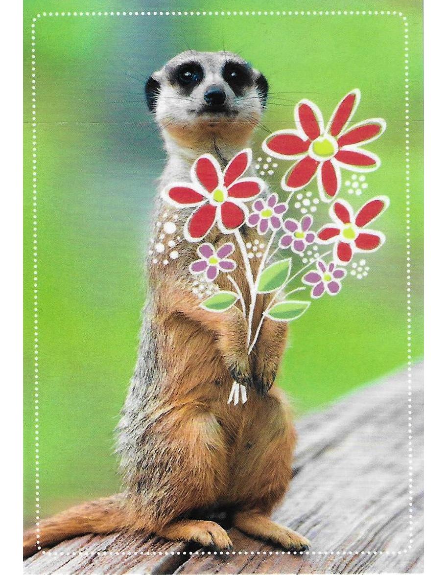Glückwunschkarte "Erdmännchen mit Blumenstrauss" A7